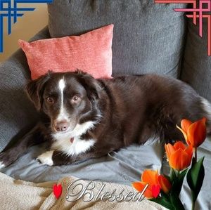 Meet your Posher, Peggy